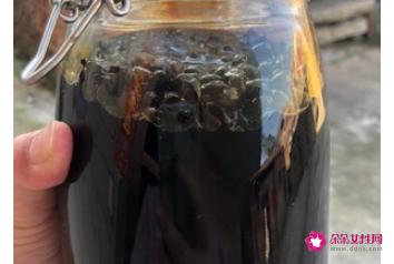 做豆豉的方法和教程