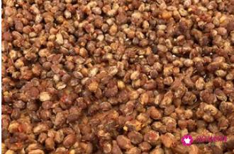 做豆豉的方法和教程