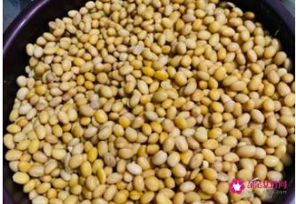 做豆豉的方法和教程