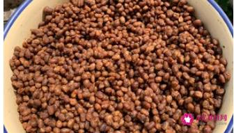 做豆豉的方法和教程