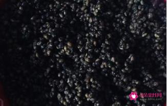 做豆豉的方法和教程