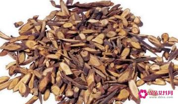 川桂枝的功效和作用