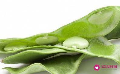 寒性凉性食物一览表