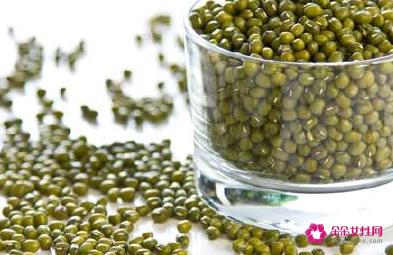 寒性凉性食物一览表