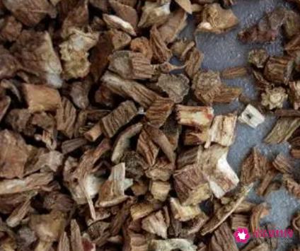 川断的功效与作用和禁忌