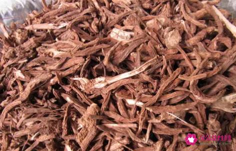 川断的功效与作用和禁忌