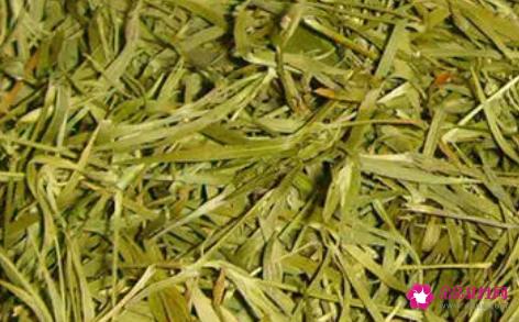 竹叶茶的功效与作用