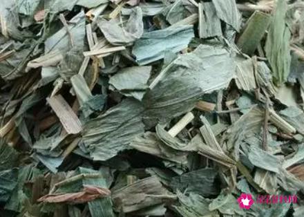 竹叶茶的功效与作用