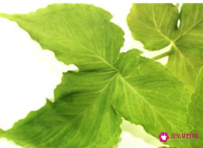 旱半夏的功效与作用