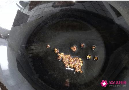 莲菜凉拌的做法