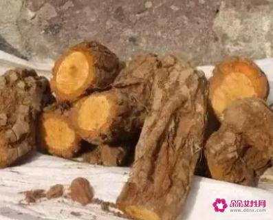 猕猴桃根的功效与作用