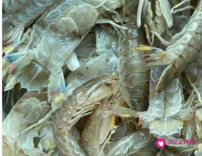 皮皮虾的家常做法大全