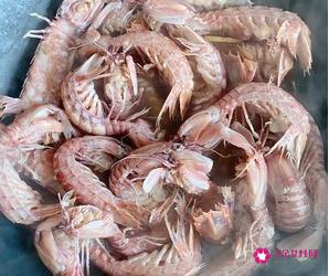 皮皮虾的家常做法大全