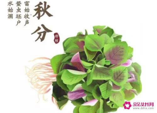 秋分吃什么传统食物好