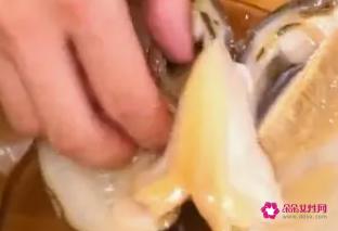 河蚌可不可以吃