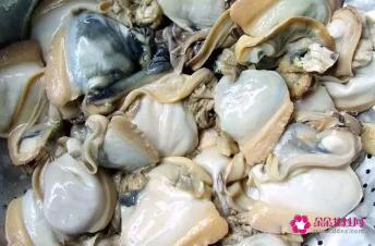 河蚌可不可以吃