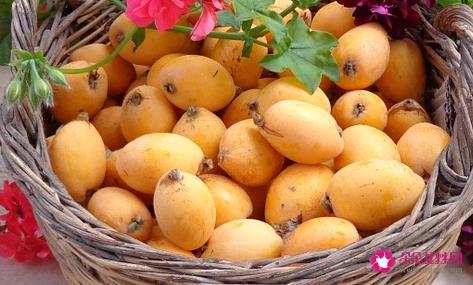 枇杷果的功效与作用是什么