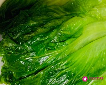 生菜怎么做最好吃