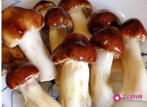 新鲜松茸怎么做最好吃