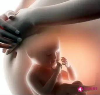 孕妇营养品有哪些