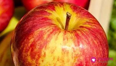 全球最健康的20种食物