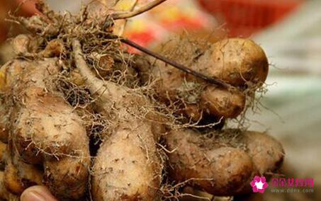 全球最健康的20种食物