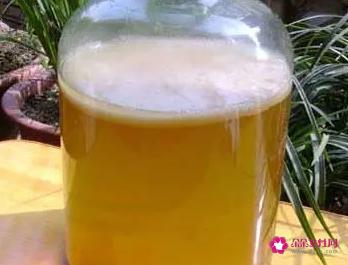 红茶菌的功效