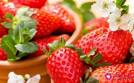 夏天吃什么水果好