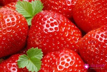 世界公认抗癌食物排行榜