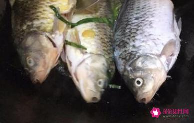 做红烧鱼的方法与步骤