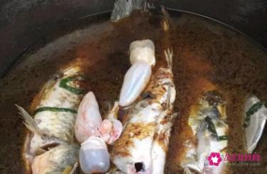 做红烧鱼的方法与步骤