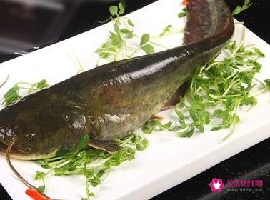 胡子鱼怎么做好吃