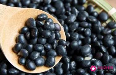 黑豆的营养价值