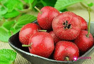 吃什么东西减肥最快最有效