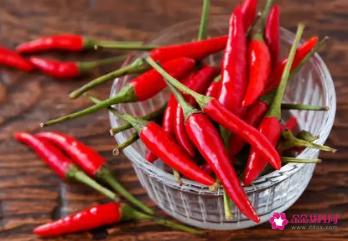 吃什么东西减肥最快最有效