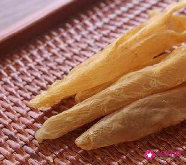 花胶怎样煲汤