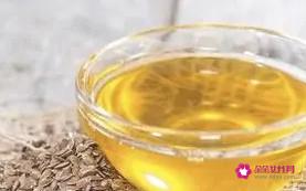 初学者做蛋糕需要些什么食材