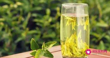 西湖龙井是不是绿茶