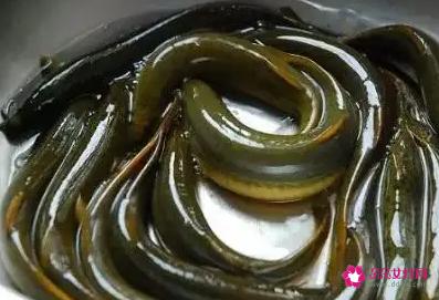 泥鳅的营养价值与药用价值