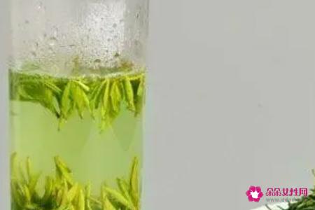 苦丁茶的功效与作用及食用方法