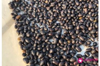 家庭自制豆豉简单做法