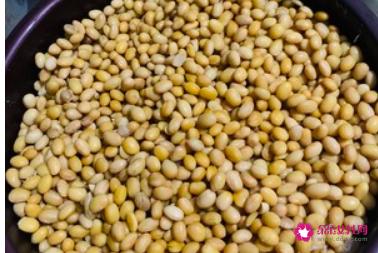 家庭自制豆豉简单做法