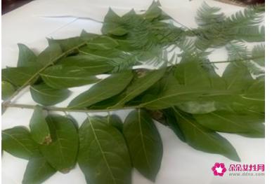 家庭自制豆豉简单做法