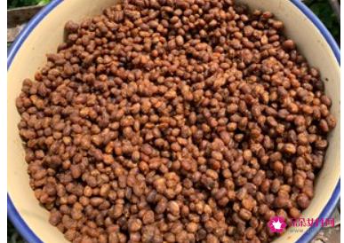 家庭自制豆豉简单做法