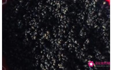 家庭自制豆豉简单做法