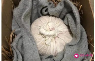 家庭自制豆豉简单做法