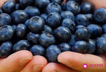 蓝莓的功效与作用及营养价值