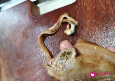 家常河蚌肉的做法