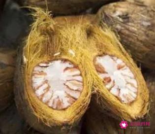 槟榔的功效与作用及副作用