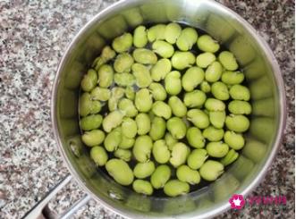 新鲜蚕豆的家常做法